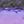 Purple Ombre
