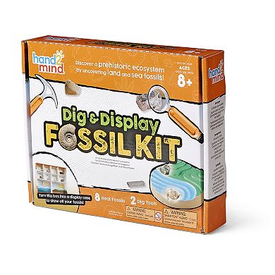 hand2mind Dig & Display Fossil Kit