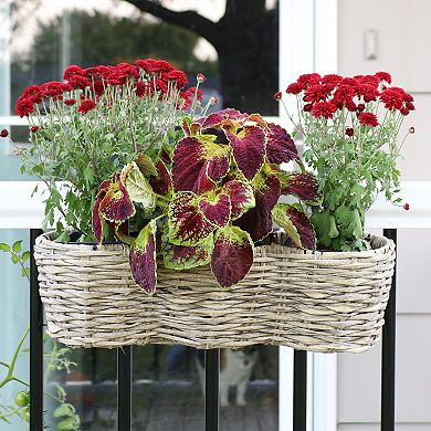 Sunnydaze Polyrattan Hanging Over-the-Rail Tri-Planter and Liner - Frost