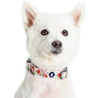 Blueberry Pet Garden Floral Dog Collar