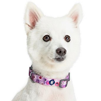 Blueberry Pet Garden Floral Dog Collar