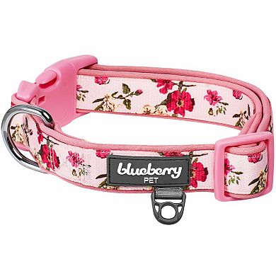 Blueberry Pet Flower Neoprene Padded Dog Collar