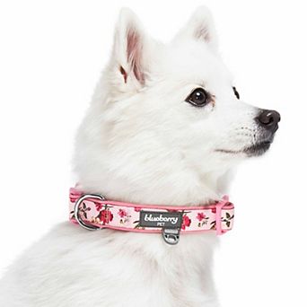 Blueberry Pet Flower Neoprene Padded Dog Collar