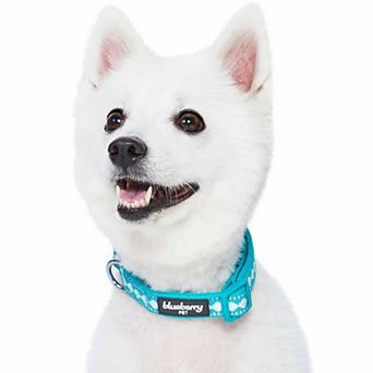 Blueberry Pet 3M Reflective Jacquard Padded Dog Collar
