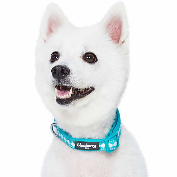 Blueberry reflective top dog collar