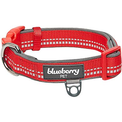 Blueberry Pet 3M Reflective Pastel Padded Dog Collar