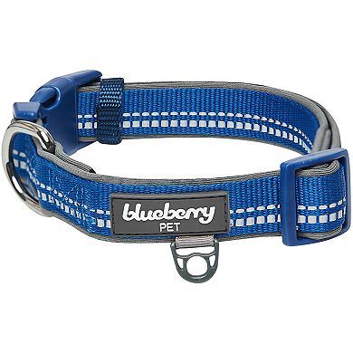 Blueberry Pet 3M Reflective Pastel Padded Dog Collar
