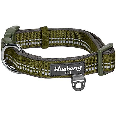 Blueberry Pet 3M Reflective Pastel Padded Dog Collar