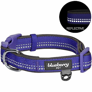 Blueberry Pet 3M Reflective Pastel Padded Dog Collar