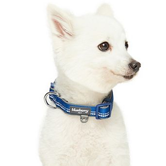 Blueberry Pet 3M Reflective Pastel Padded Dog Collar