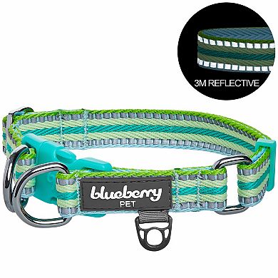 Blueberry Pet Reflective Multi-color Stripe Dog Collar