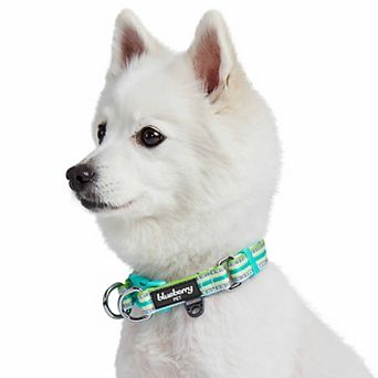 Blueberry Pet Reflective Multi-color Stripe Dog Collar