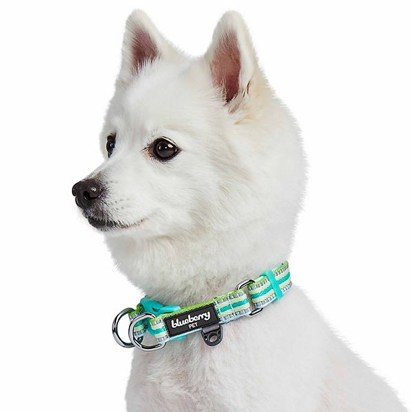 Blueberry Pet Reflective Multicolor Stripe Dog Collar