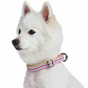 Blueberry Pet Reflective Multi-color Stripe Dog Collar