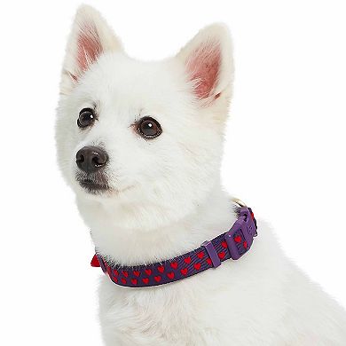 Blueberry Pet Heart Flocking Dog Collar