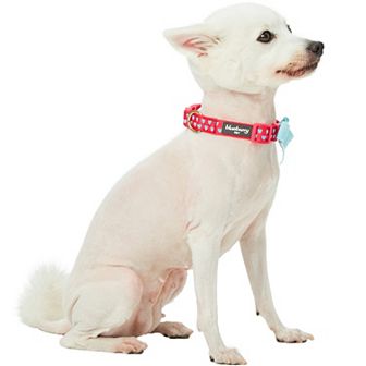 Blueberry Pet Heart Flocking Dog Collar