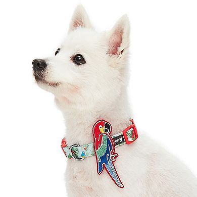 Blueberry Pet Fun Parrot Dog Collar