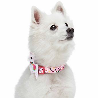 Blueberry Pet Happy Llamas Dog Collar