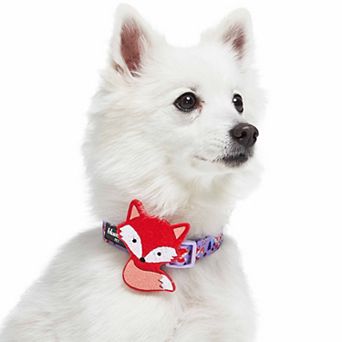 Blueberry Pet Red Fox Dog Collar