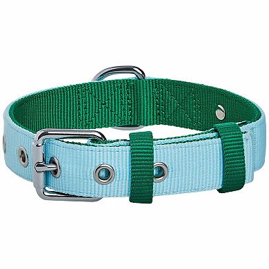 Blueberry Pet Iconic Color-Block Dog Collar