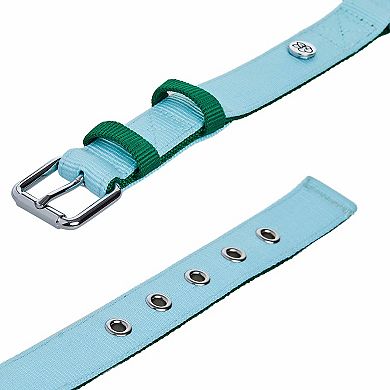 Blueberry Pet Iconic Color-Block Dog Collar