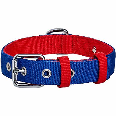 Blueberry Pet Iconic Color-Block Dog Collar