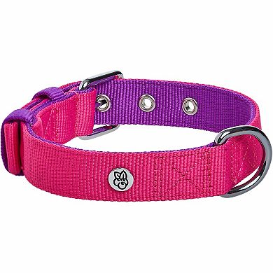 Blueberry Pet Iconic Color-Block Dog Collar