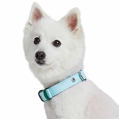 Blueberry Pet Iconic Color-Block Dog Collar