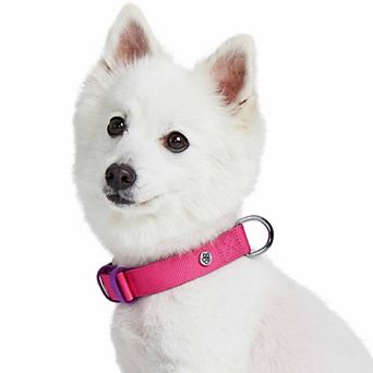Blueberry Pet Iconic Color-Block Dog Collar