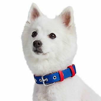 Blueberry Pet Iconic Color-Block Dog Collar