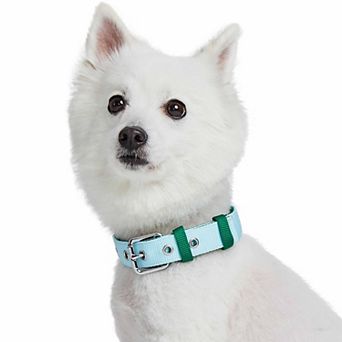 Blueberry Pet Iconic Color-Block Dog Collar