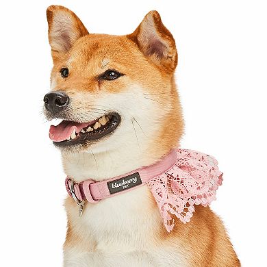 Blueberry Pet Floral Lace Dog Collar