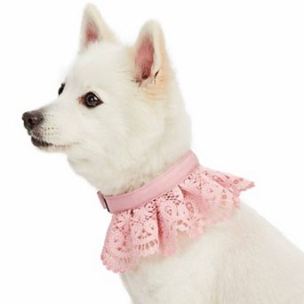 Blueberry Pet Floral Lace Dog Collar