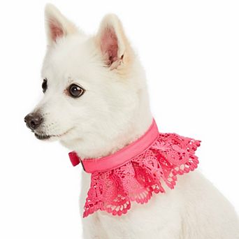 Blueberry Pet Floral Lace Dog Collar