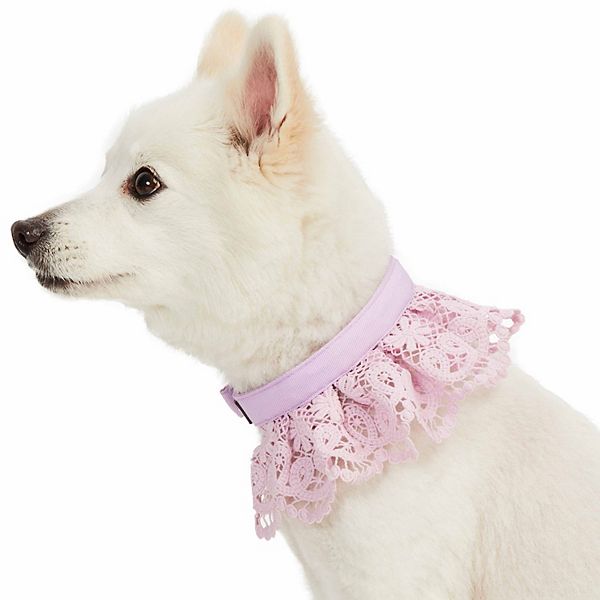 Blueberry Pet Floral Lace Dog Collar Lavender (MEDIUM) BrickSeek