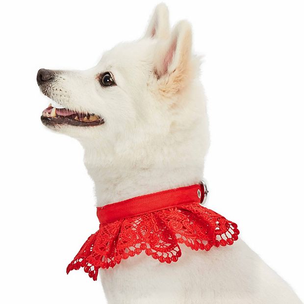 Red Flower Bow Tie Dog Collar And Leash