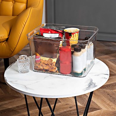 The Big One® Clear Plastic Storage Bin - Large