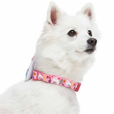 Blueberry Pet Easter Bunny & Eggs Dog Collar