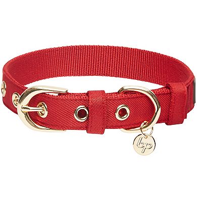 Blueberry Pet Most Coveted Dog Collar