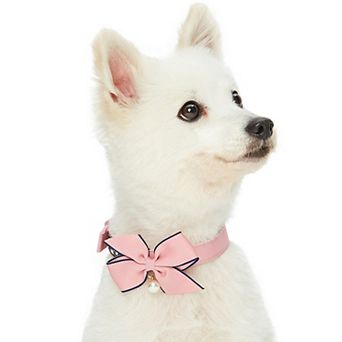 Blueberry Pet Most Coveted Dog Collar