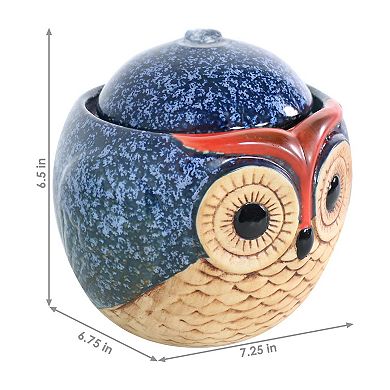 Sunnydaze Ceramic Owl Indoor Tabletop Water Fountain - 6-Inch