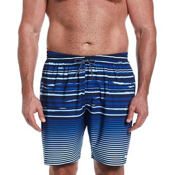 Big & Tall Nike 9 in Stripe Breaker Swim Trunks