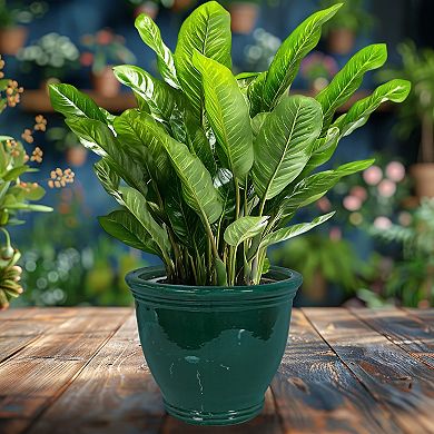Sunnydaze 15 in Studio High-Fired Glazed Ceramic Planter - Dark Green