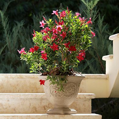 Sunnydaze 16 in Darcy Dual-Wall Polyresin Planter and UV-Resistance - Beige