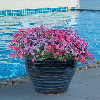 Sunnydaze Studio High-Fired Glazed Ceramic Planter