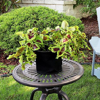 Sunnydaze 1-Pack Garden Grown Bag with Handles - Nonwoven Fabric - 10-Gallon