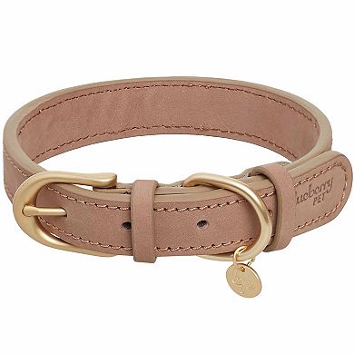 Blueberry Pet Genuine Leather Dog Collar