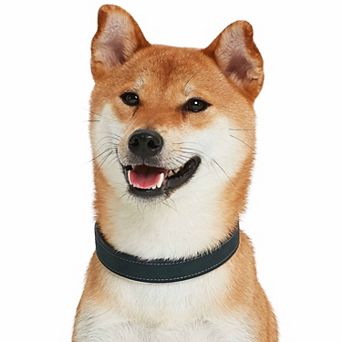 Blueberry Pet Genuine Leather Dog Collar