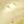 Gold Tone