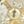 Gold Tone